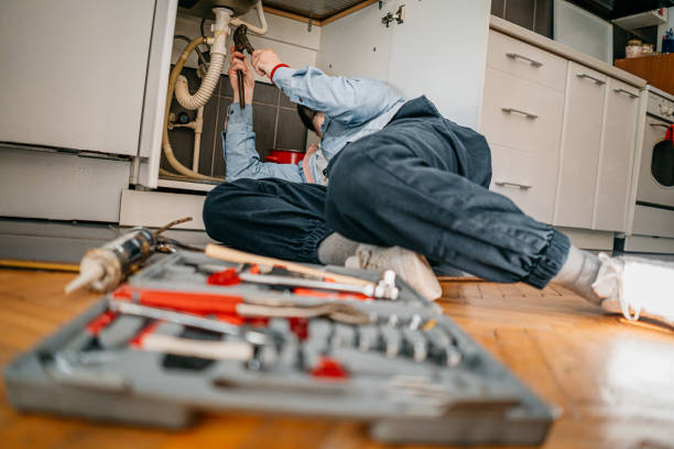 Best Plumbing Repair Near Me  in Woodhaven, MI