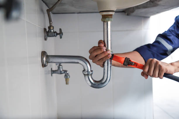 Best Affordable Plumbing Services  in Woodhaven, MI